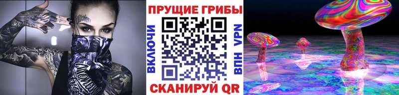 наркота Артём Галлюциногенные грибы прущие грибы